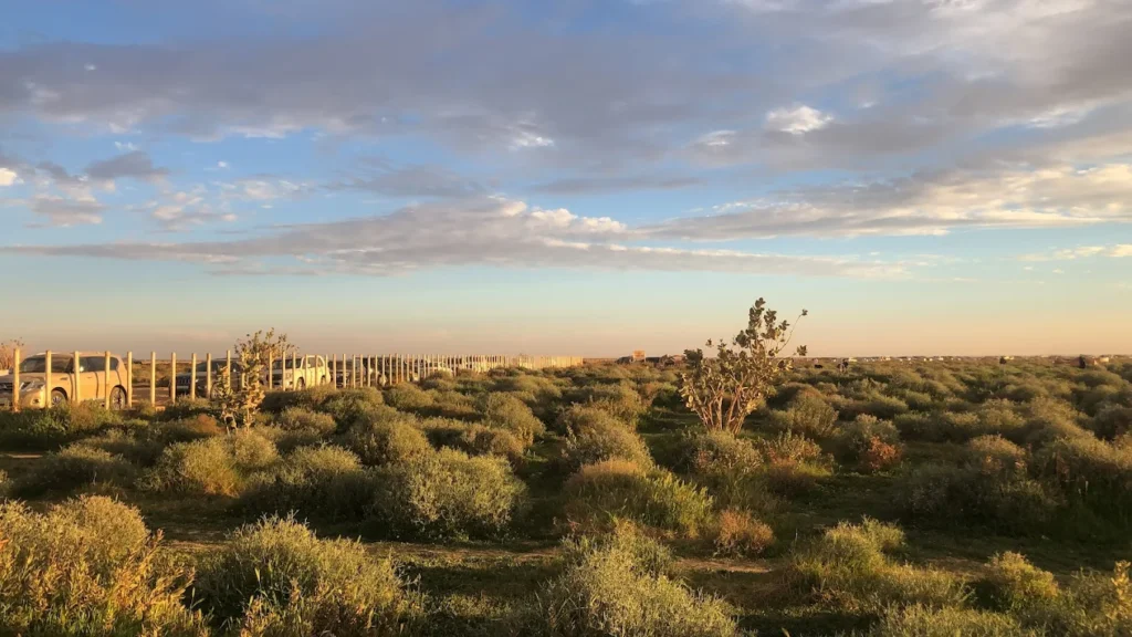 روضة نورة شمال الرياض